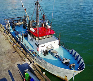 30 metre trawler for sale